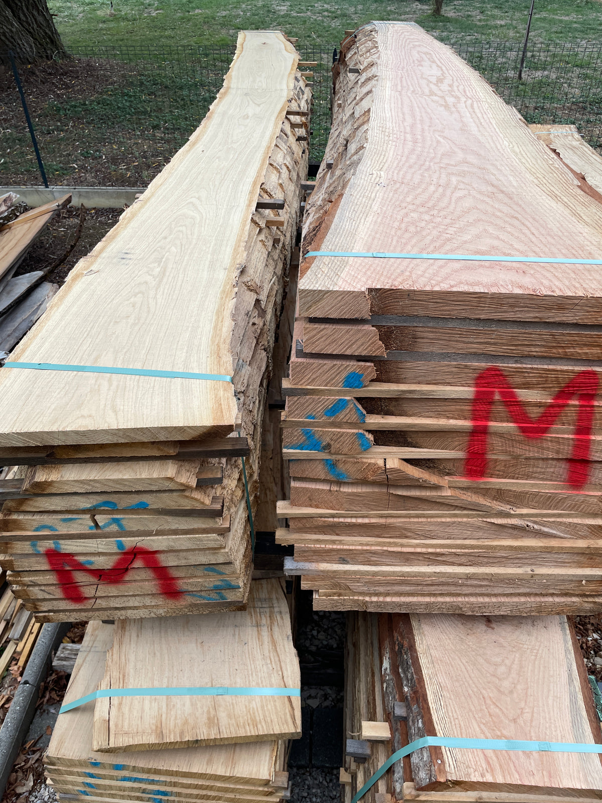 Planche en chêne massif – Bois naturel